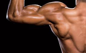 Men's Shoulder Workouts